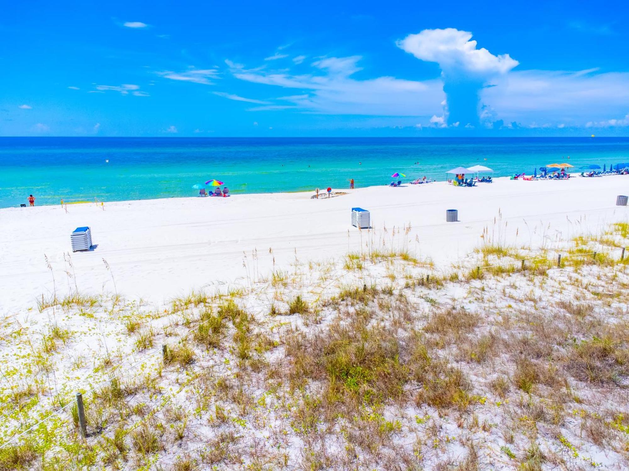 Ocean Reef - Gulf Pearl *